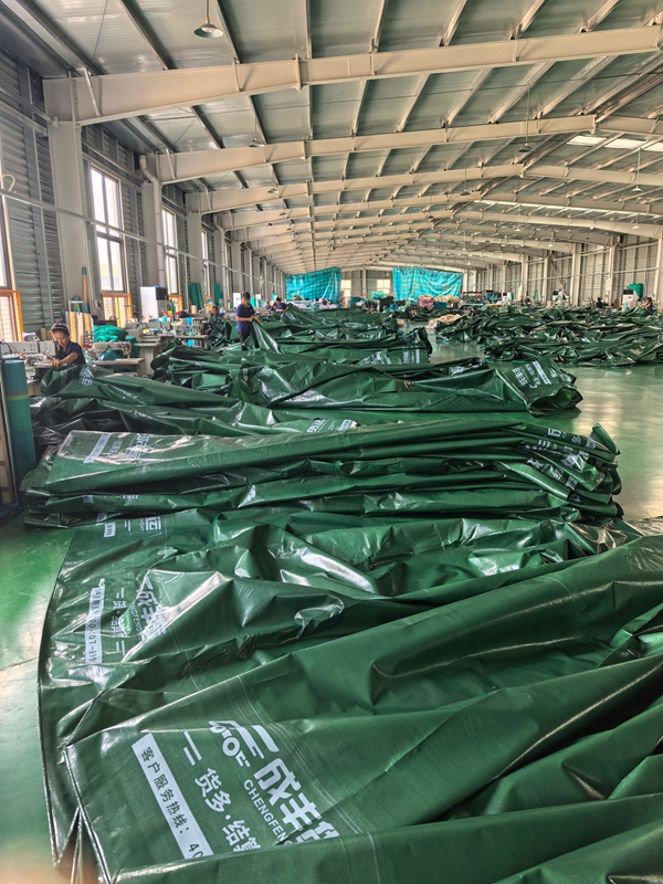 成丰货运OEM定制